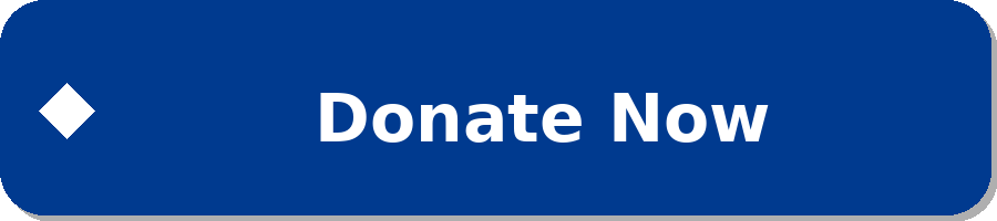 donate now icon